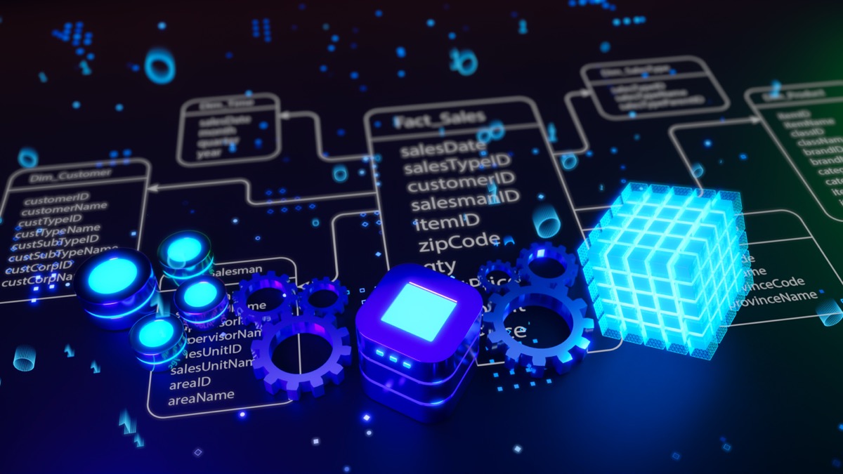 OLAP Process for Government Data Warehouse